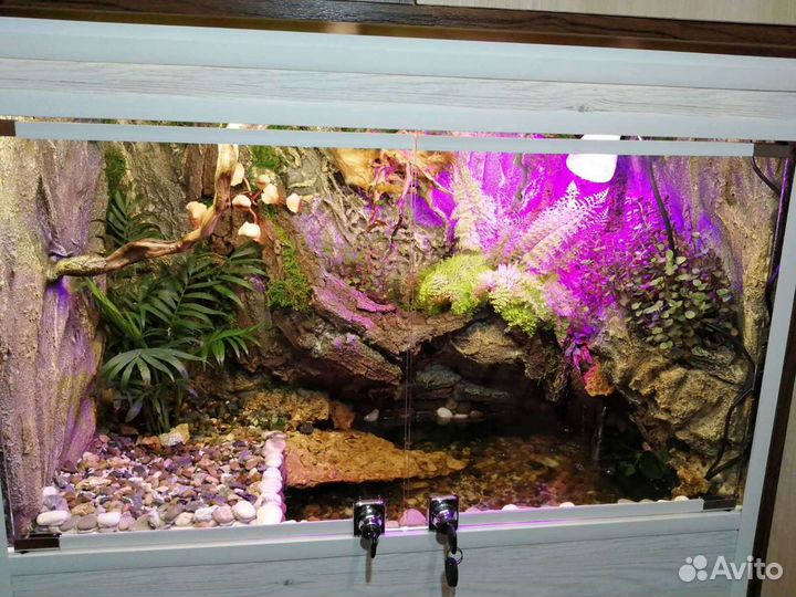 Террариум на заказ