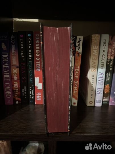 Охотясь на аделин преследуя аделин