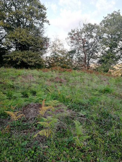 Участок 6 сот. (ИЖС)