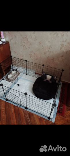 Вольер для собак в квартиру бу