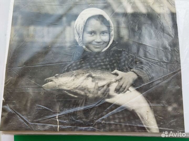 Старые фотографии и альбомы СССР