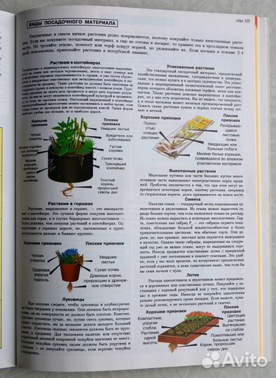 Всё о цветах в вашем саду (Хессайон)