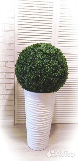 Искусственные растения