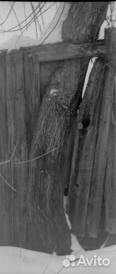 Фотопленка Кинопленка orwo DP-3 35 мм