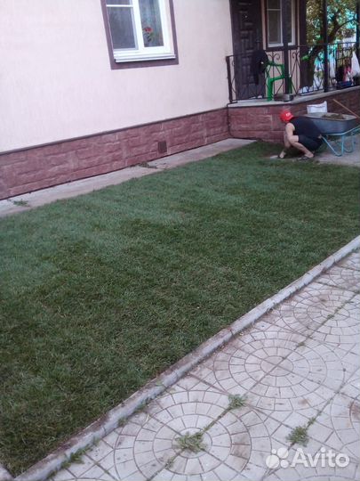 Рулонный газон с доставкой