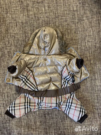 Одежда для собак