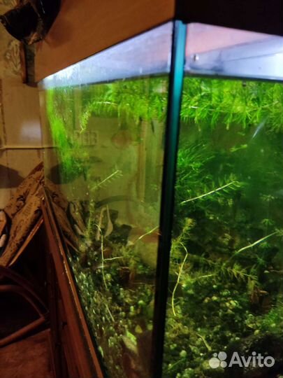 Аквариум с тумбой