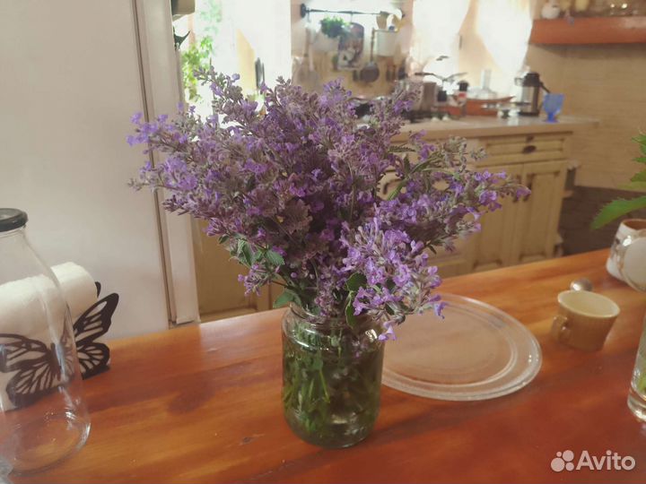 Срезка трав мята, душица и др