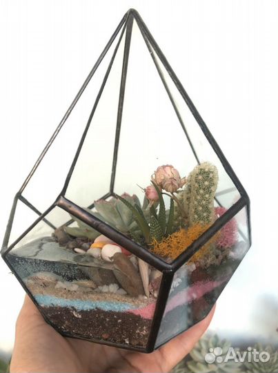 Флорариум с суккулентами в форме -маленькая капля