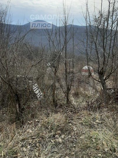 Участок 6 сот. (СНТ, ДНП)