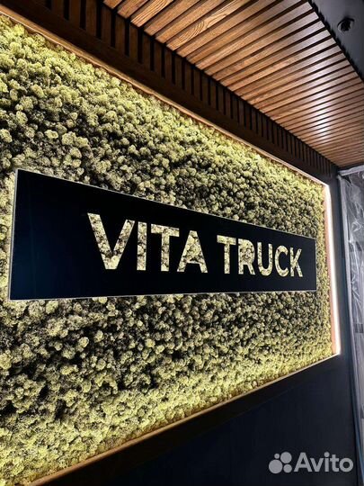 Панели, картины из мха любых размеров, от