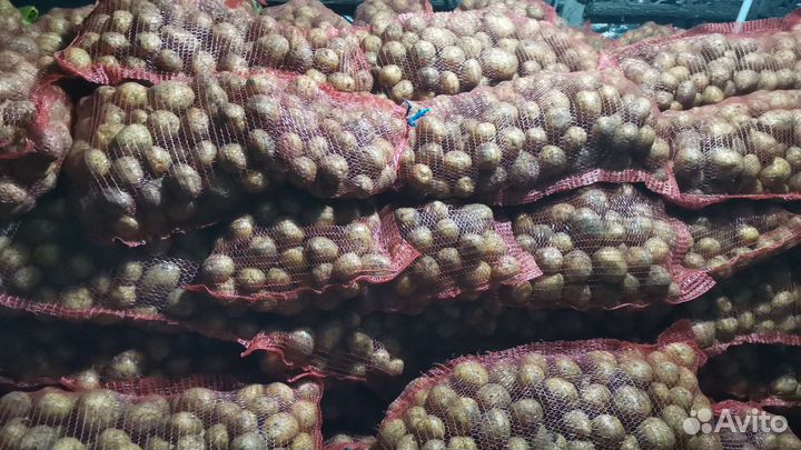 Продам картофель с доставкой