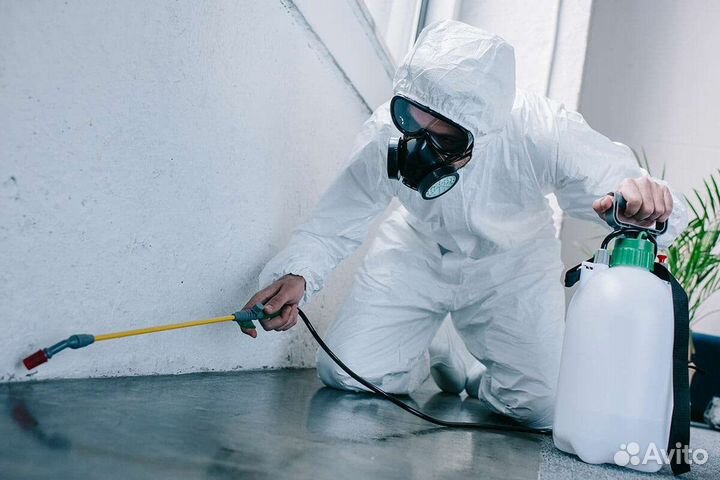 Дезинсекция, уничтожение тараканов, клопов, блох