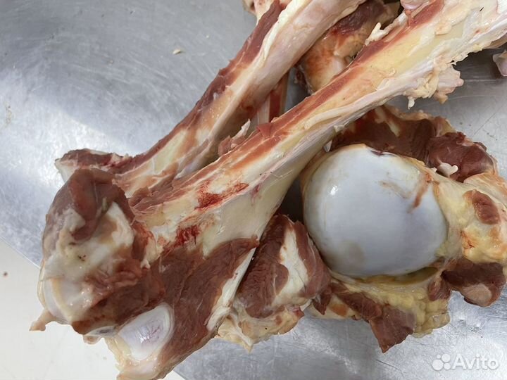 Лакомства для собак