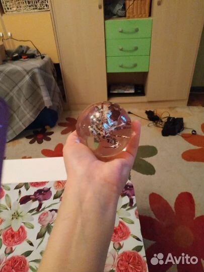 Настоящий гигант лесной Скорпион