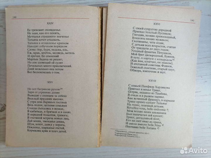 А. С. Пушкин Евгений Онегин