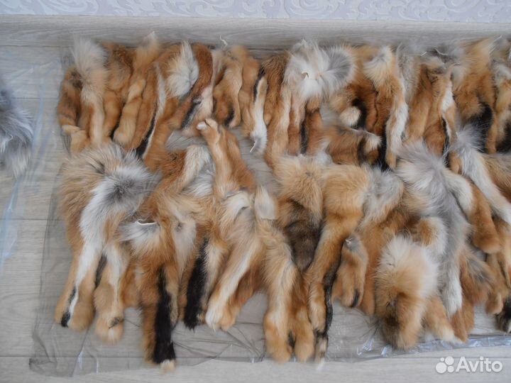Мех рыжей лисы. Лапы