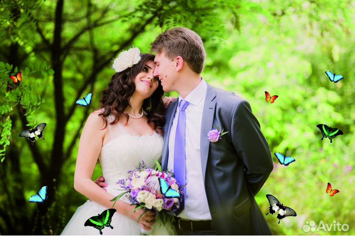 Салют из Живых Тропических Бабочек с/б-15