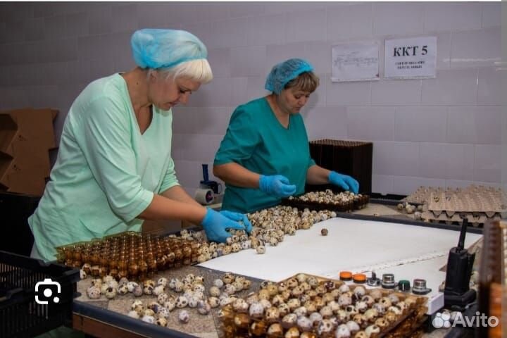 Упаковщики и фасовщики