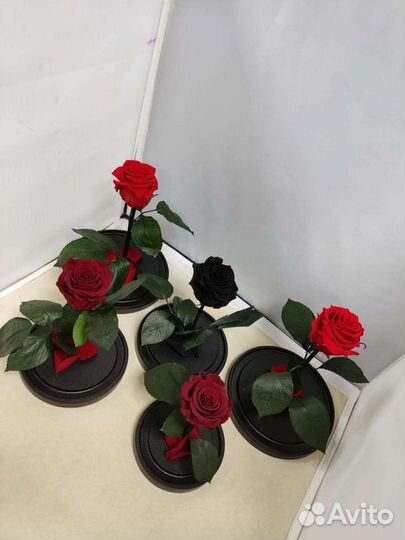 Роза в колбе оптом