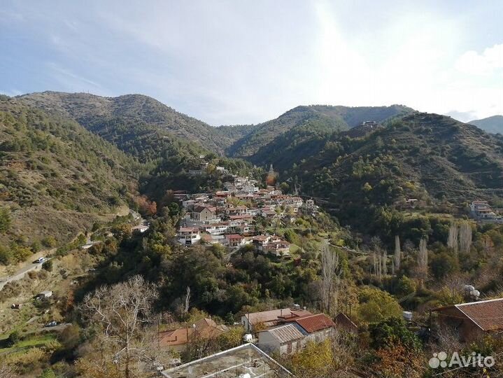 Отдых зимой на Кипре