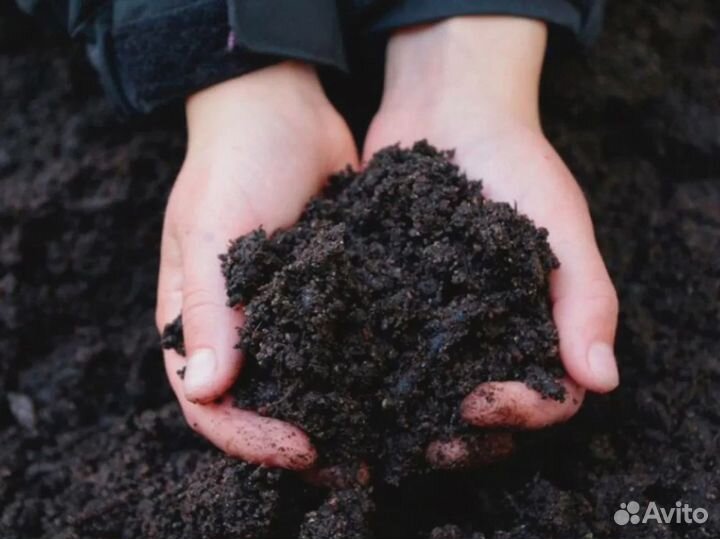 Доставка плодородного грунта