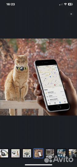 Gps ошейник для кошек