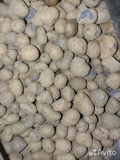 Дренаж для цветов керамзитовый