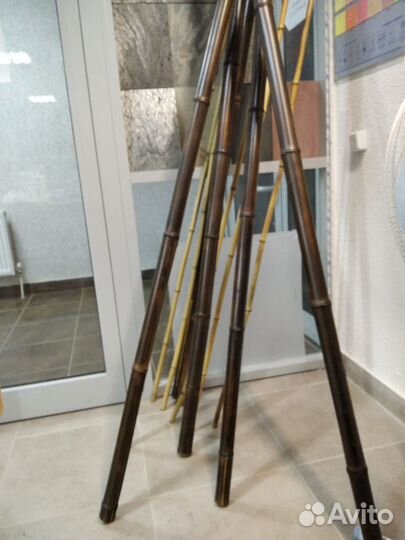 Стебли бамбука