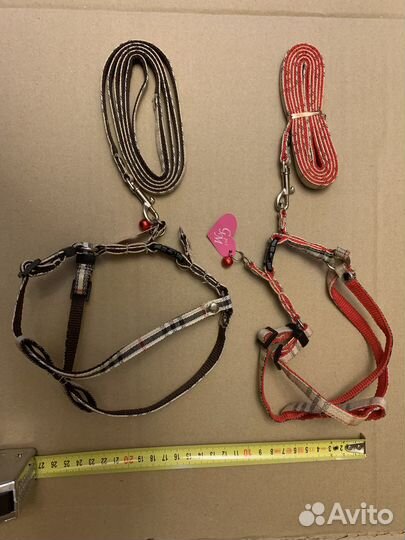 Поводок с нагрудным ремнем