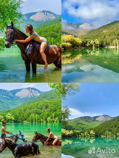 Экскурисия Горы Лаванды