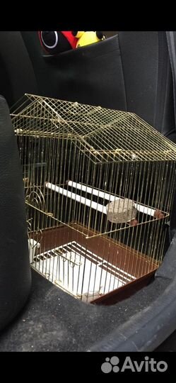 Клетка для попугая бу