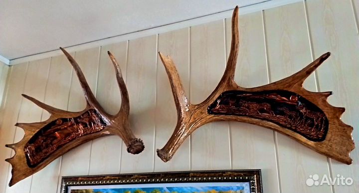 Чучело,рога