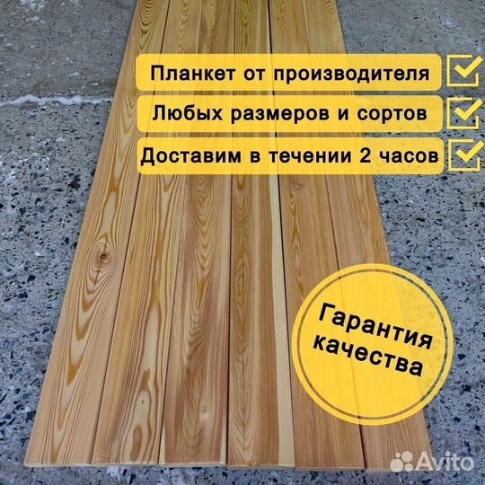 Планкен прямой лиственница