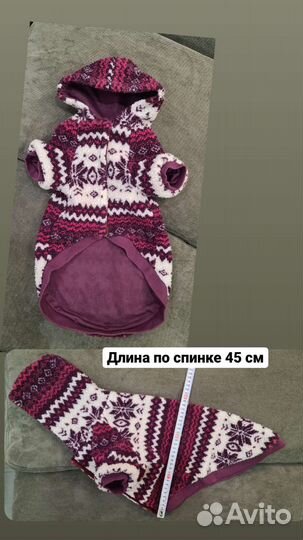 Одежда для собак