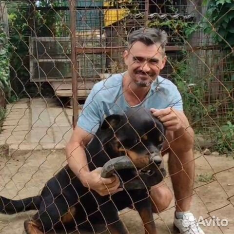 Ветеринарный врач, выезд на дом