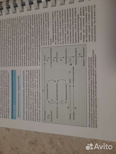 Основы педиатрии по Нельсону. 8-ое издание