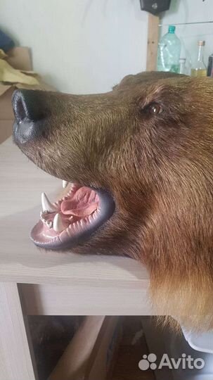 Изготовление трофеев