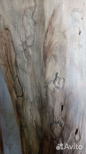 Коряги, ветки, стволы. Карагач, вяз