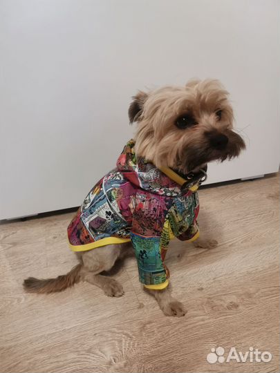 Худи для собаки