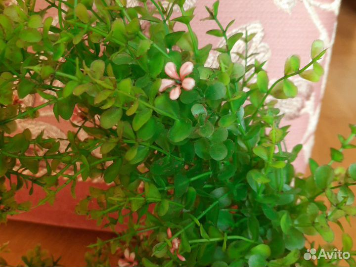 Искуственные водоросли для аквариума