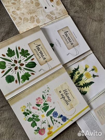 Мои любимые книги