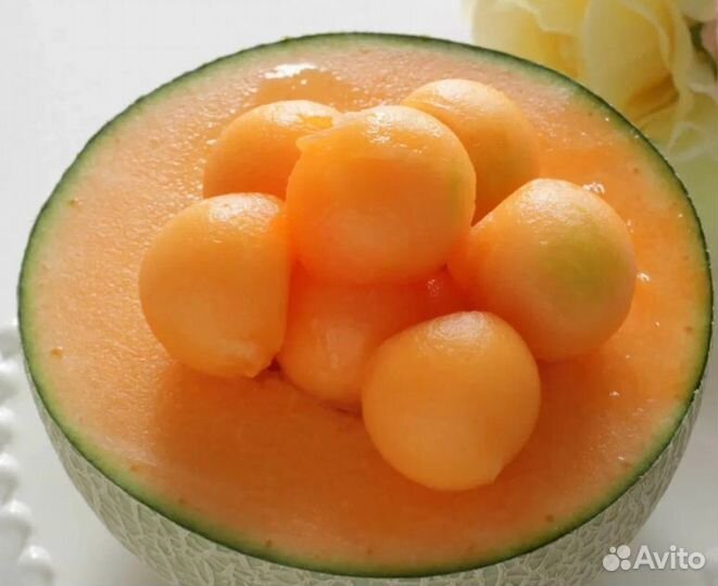 Королевская дыня Юбари до 1 кг семена