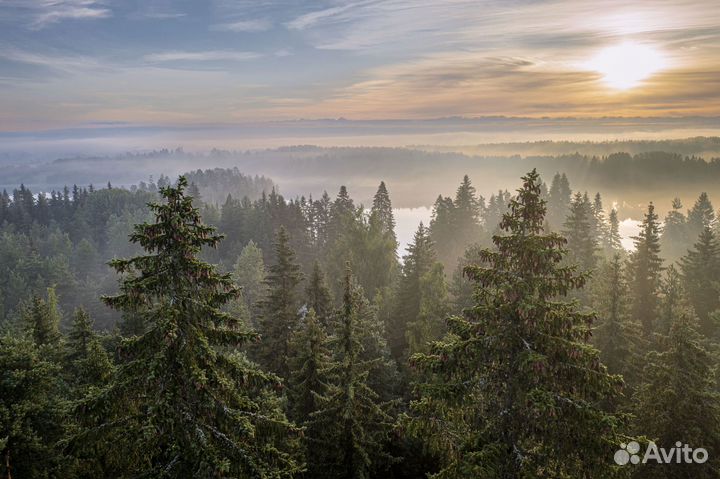 Профессиональная Видеосъемка Петрозаводск Карелия