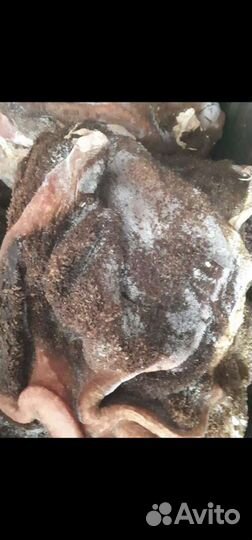 Мясо для собак