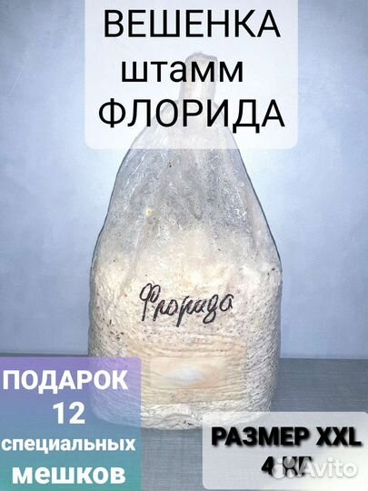 Мицелии грибов вешенка 4 кг