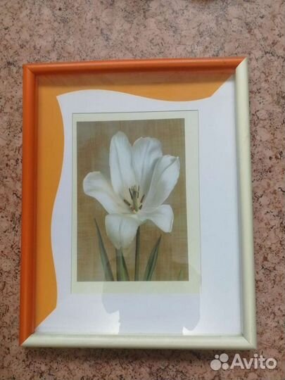 Кухонные принадледности