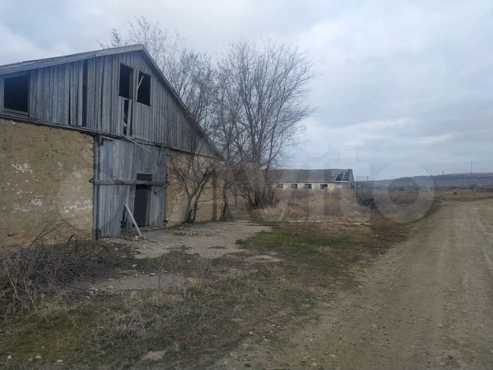 Участок 3,31 га (СНТ, ДНП)