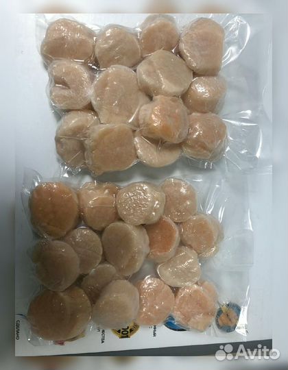 Гребешок Сахалин