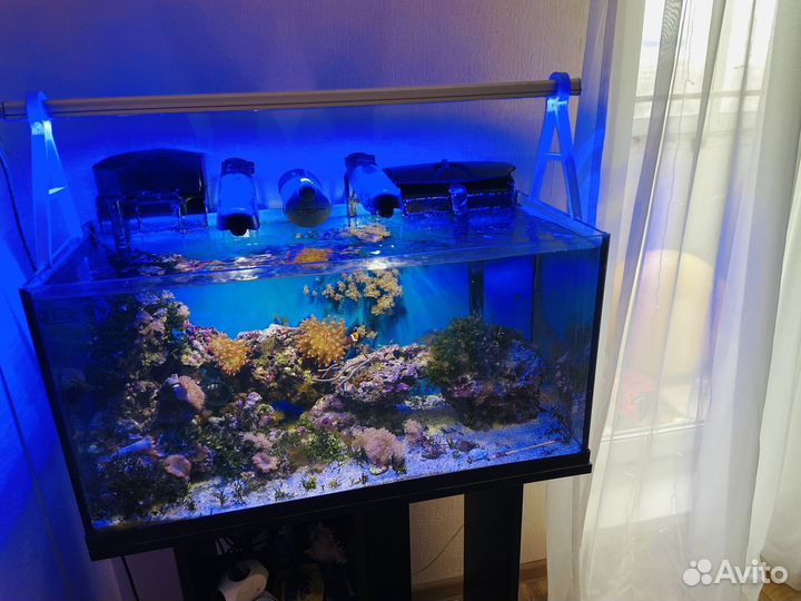 Морской аквариум 115 литров